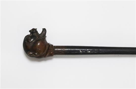 A Victorian rhinoceros horn handled mastiff walking stick, late 19th century, the handle 2.25in. high